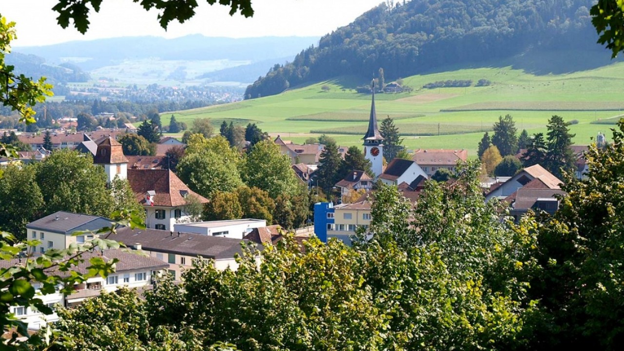 {/wd:document/wd:extension/wd:meta/wd:title/text()}